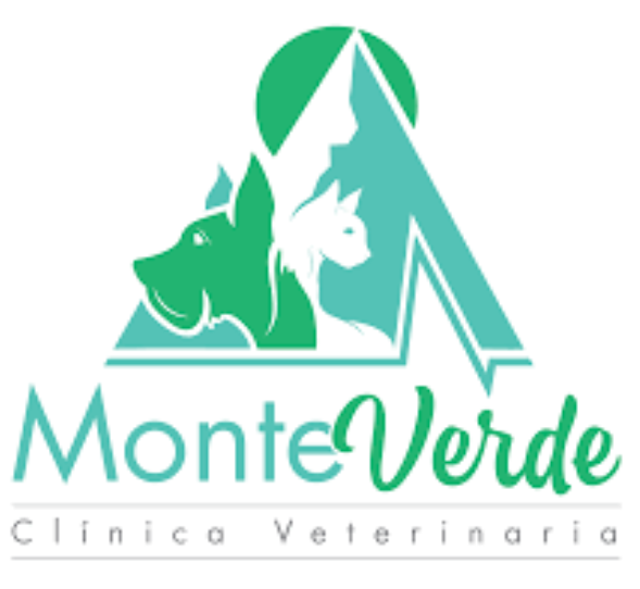 MONTE VERDE