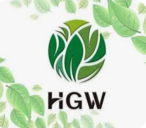 HGW  Vida Saludable